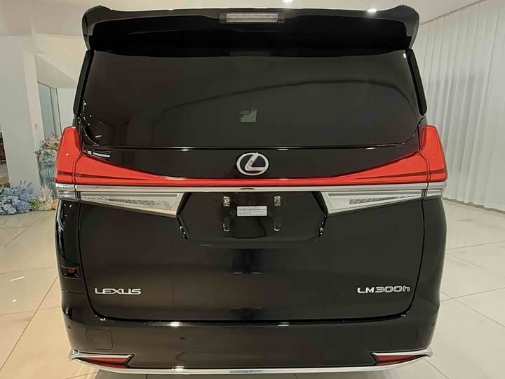 Фото 5 - Lexus LM