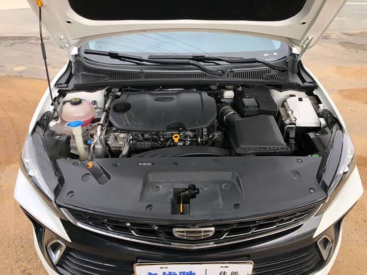 Фото 24 - Geely Binrui