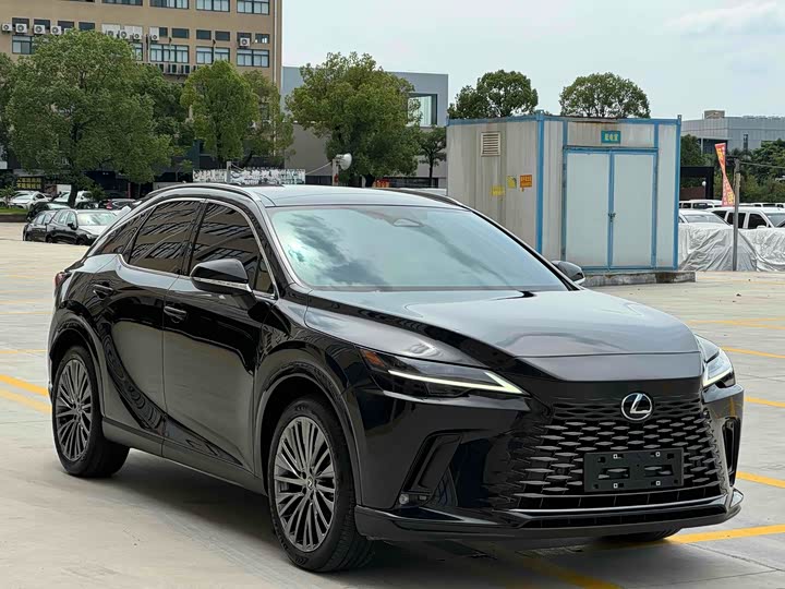 Фото 3 - Lexus RX