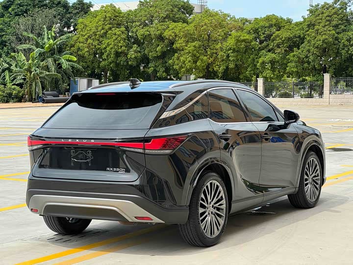 Фото 8 - Lexus RX