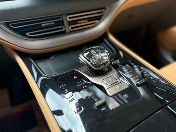 Фото 22 - Denza D9