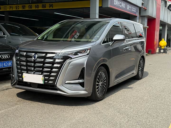 Фото 23 - Denza D9