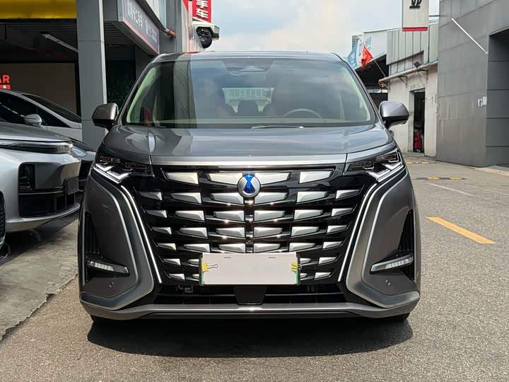 Фото 24 - Denza D9