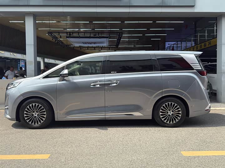 Фото 3 - Denza D9