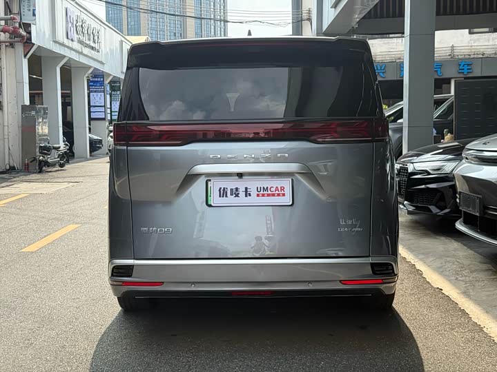 Фото 5 - Denza D9