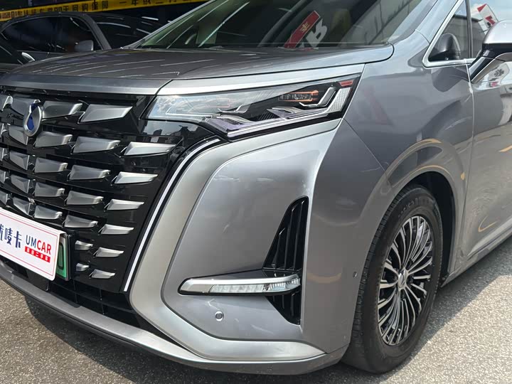 Фото 8 - Denza D9