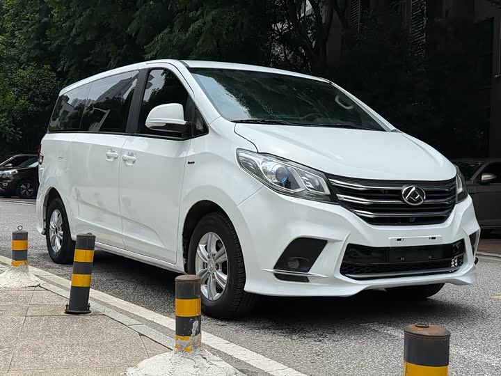 Фото 2 - Maxus G10