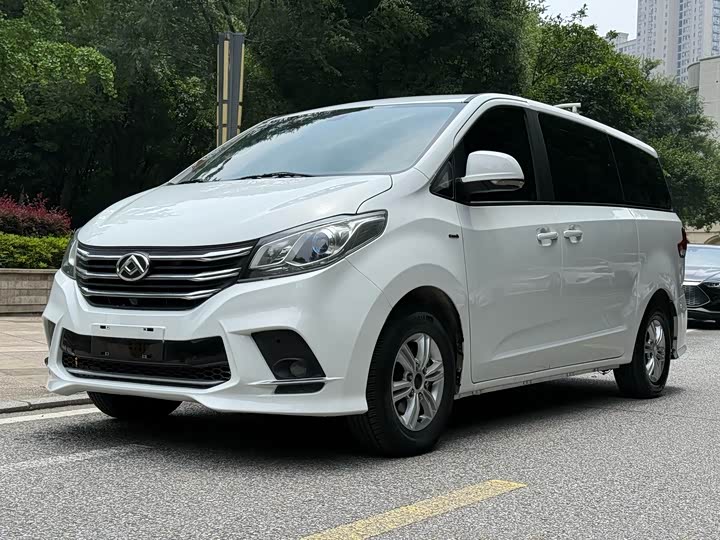 Фото 3 - Maxus G10