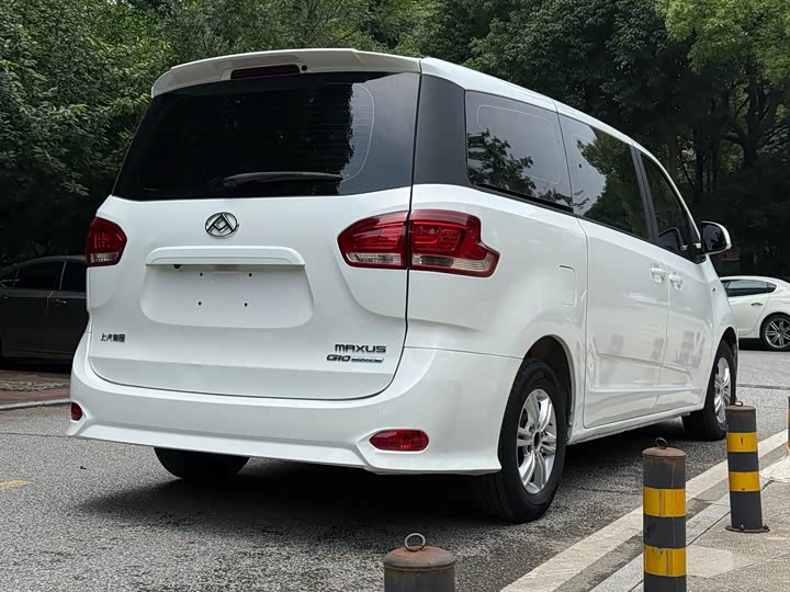 Фото 4 - Maxus G10