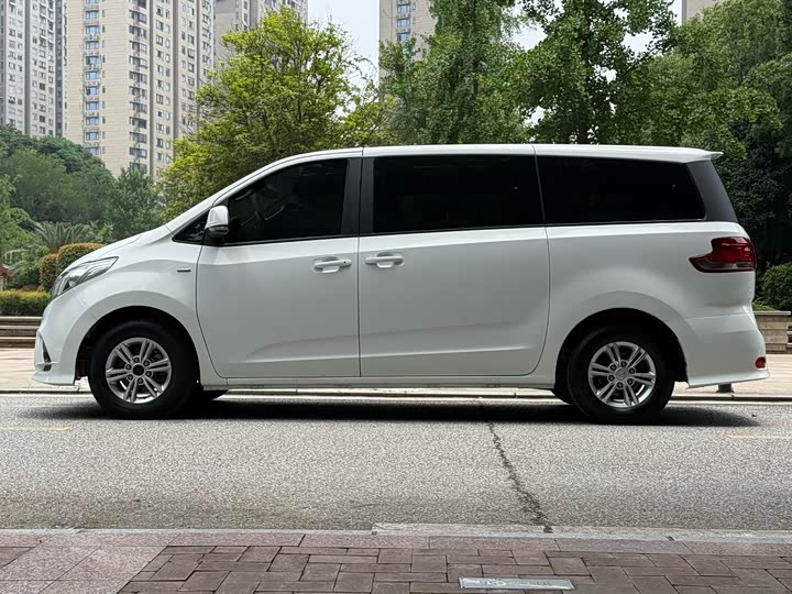 Фото 7 - Maxus G10