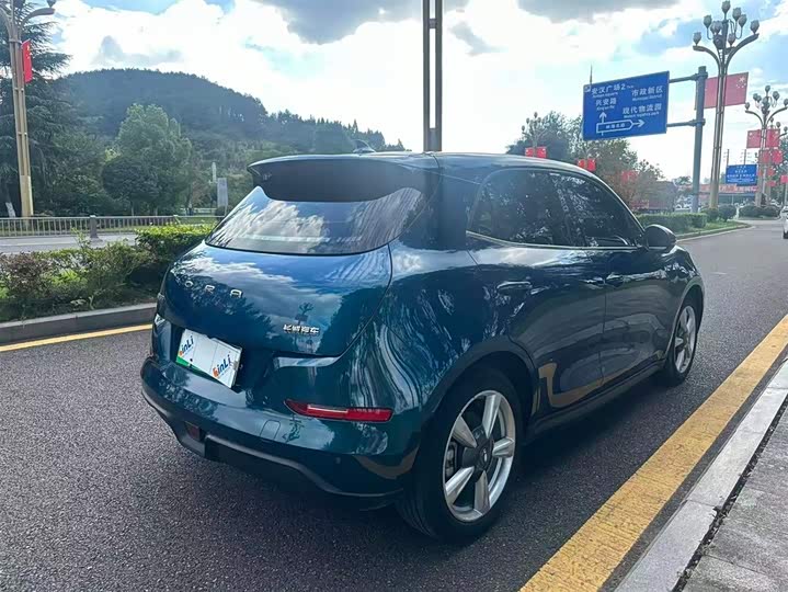 Фото 3 - Ora Good Cat (03)