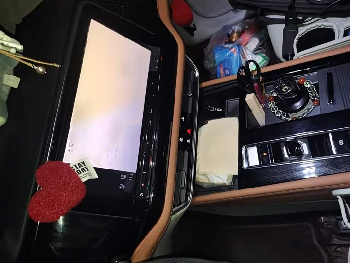 Фото 6 - Volkswagen Teramont Pro