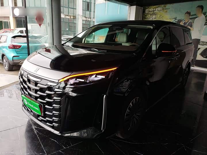 Фото 2 - BYD Xia