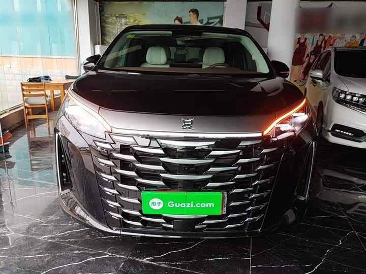 Фото 3 - BYD Xia