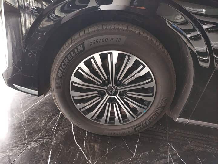 Фото 5 - BYD Xia