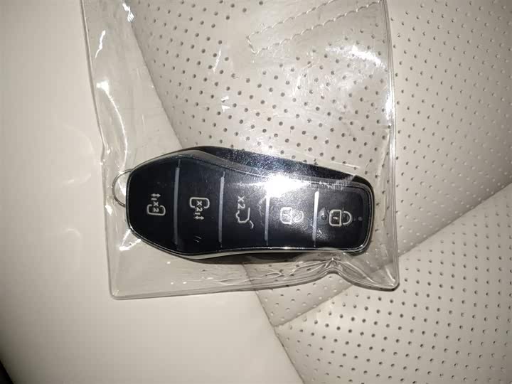 Фото 9 - BYD Xia