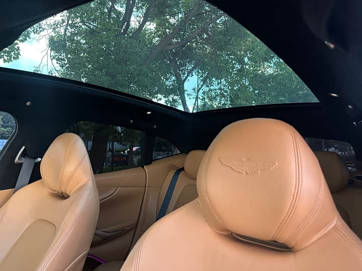 Фото 29 - Aston Martin DBX