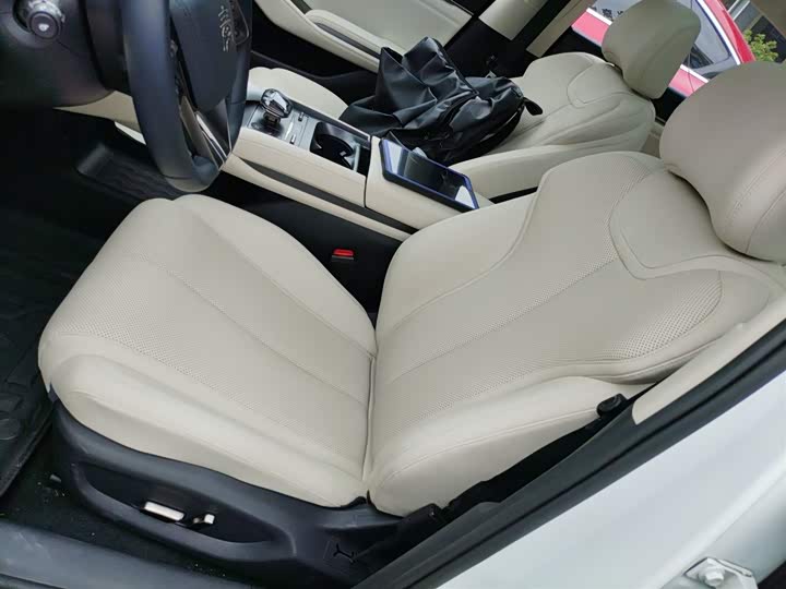 Фото 15 - BYD Qin L