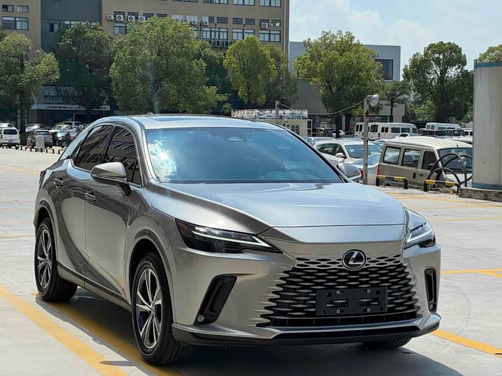 Фото 1 - Lexus RX