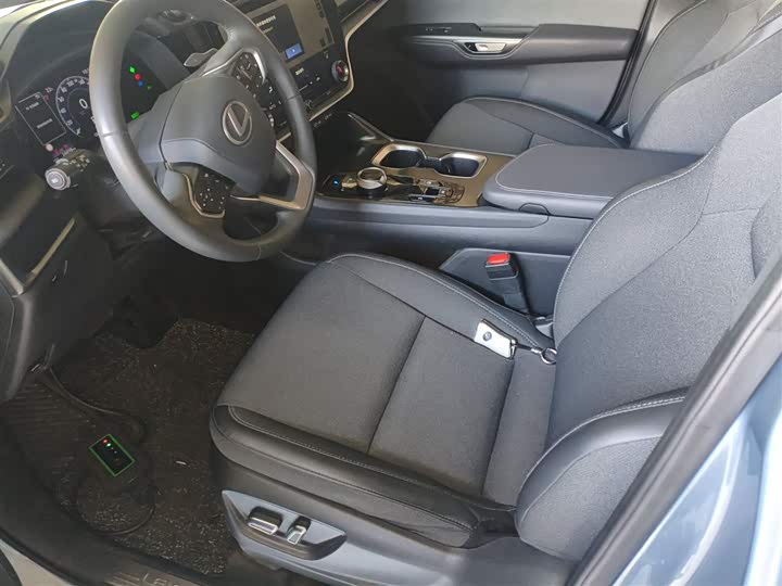 Фото 15 - Lexus RZ