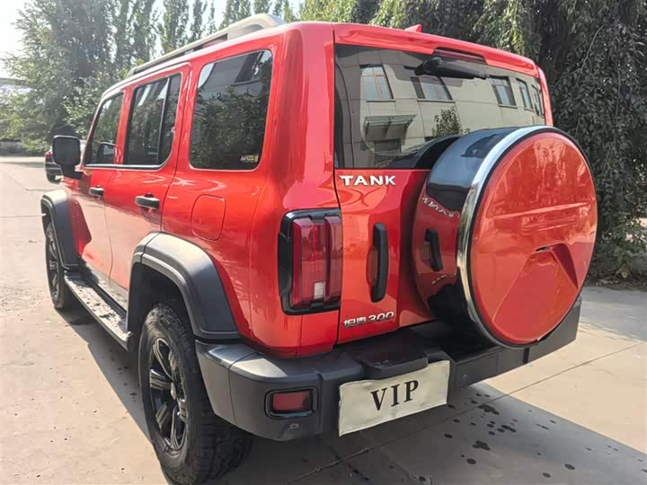 Фото 6 - Tank 300