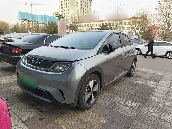 Фото 1 - BYD Dolphin