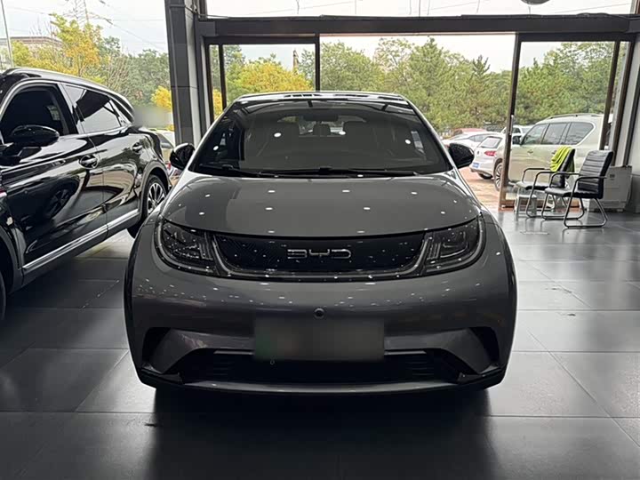 Фото 8 - BYD Dolphin