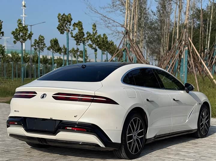 Фото 15 - Denza Z9