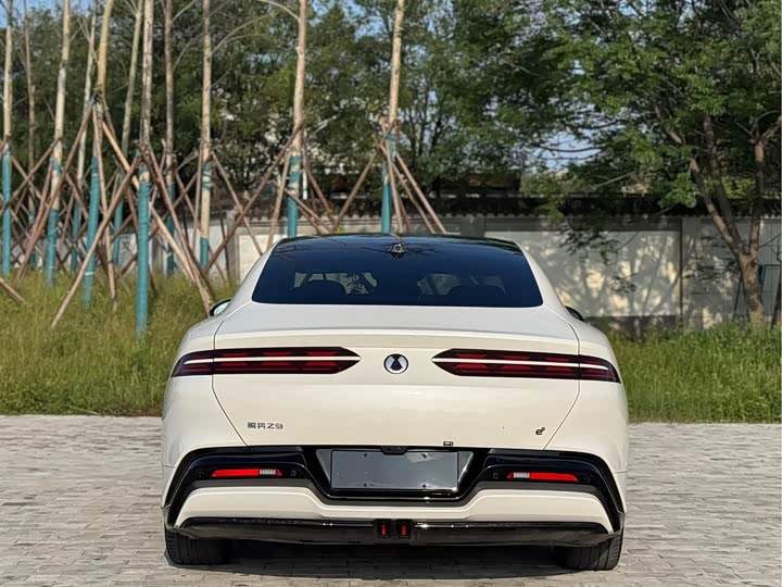 Фото 16 - Denza Z9