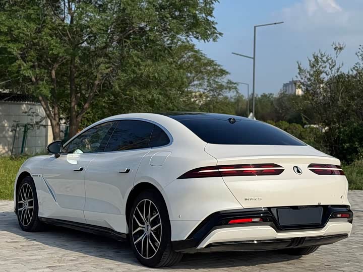 Фото 17 - Denza Z9