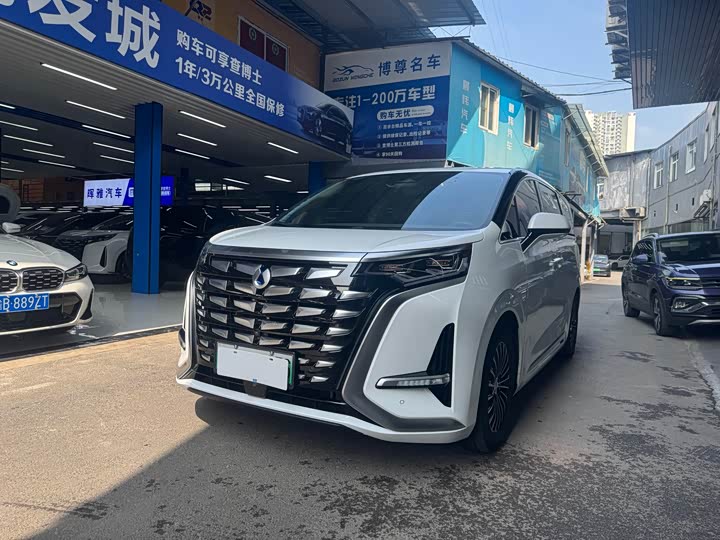 Фото 1 - Denza D9