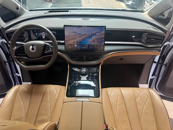 Фото 19 - Denza D9