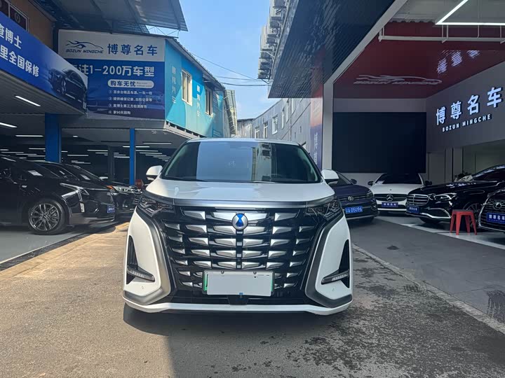 Фото 2 - Denza D9