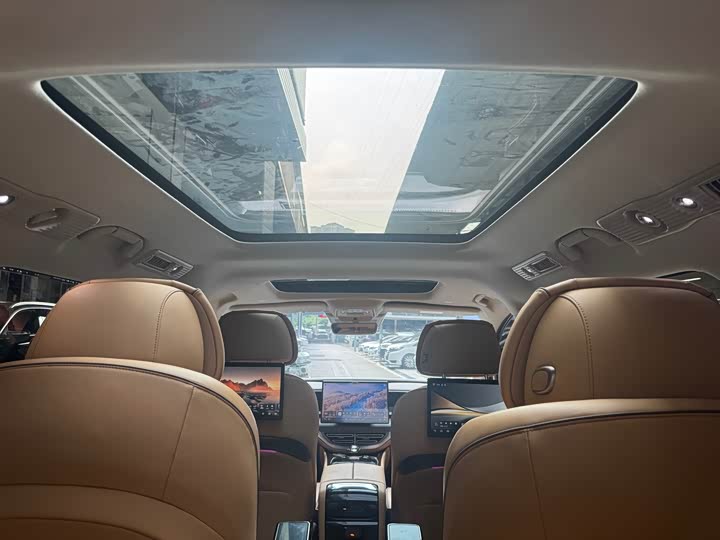 Фото 22 - Denza D9