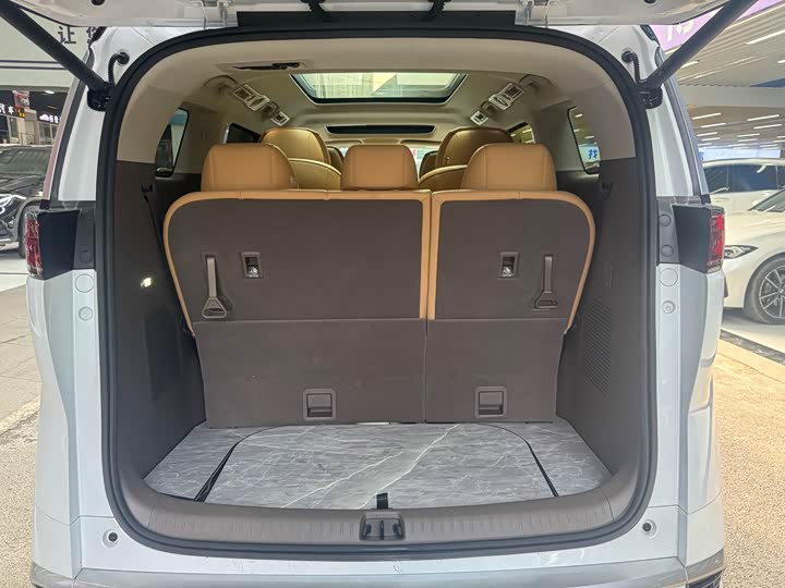 Фото 23 - Denza D9