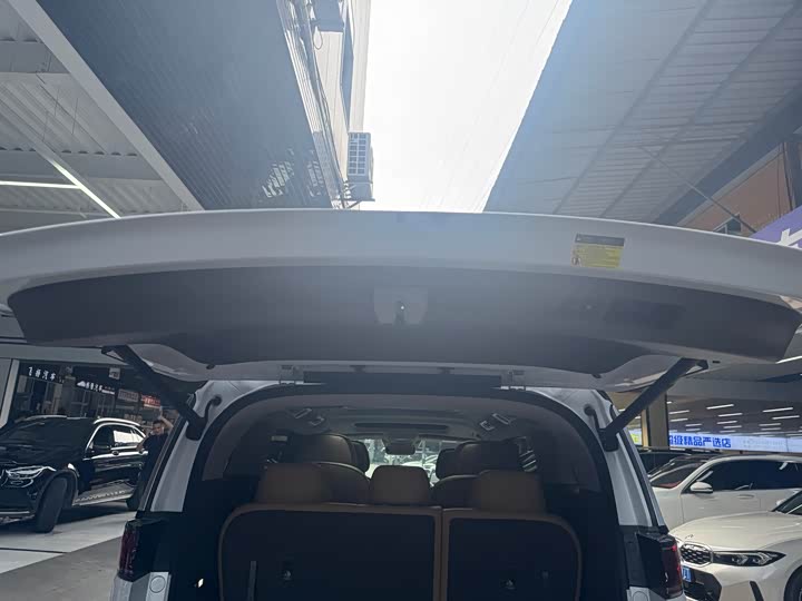 Фото 24 - Denza D9