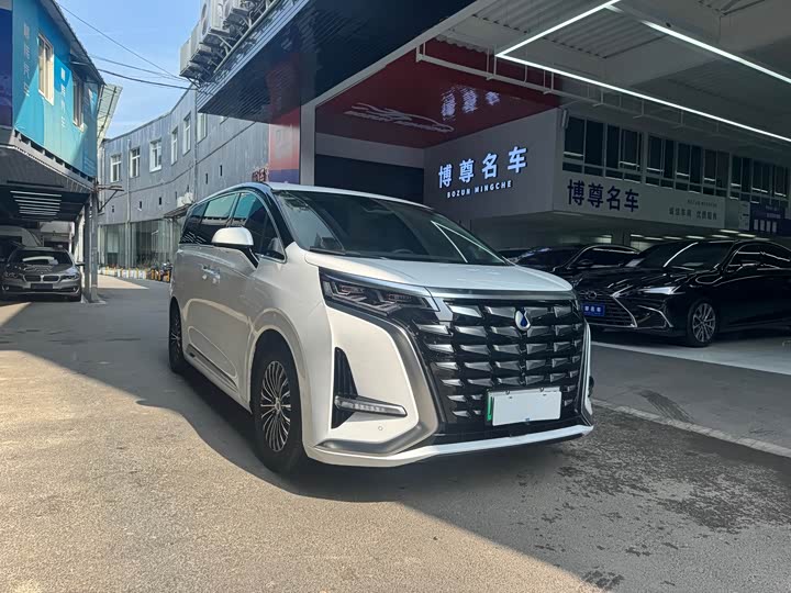 Фото 3 - Denza D9