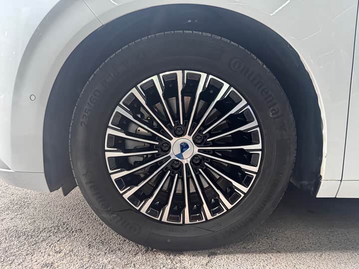 Фото 5 - Denza D9