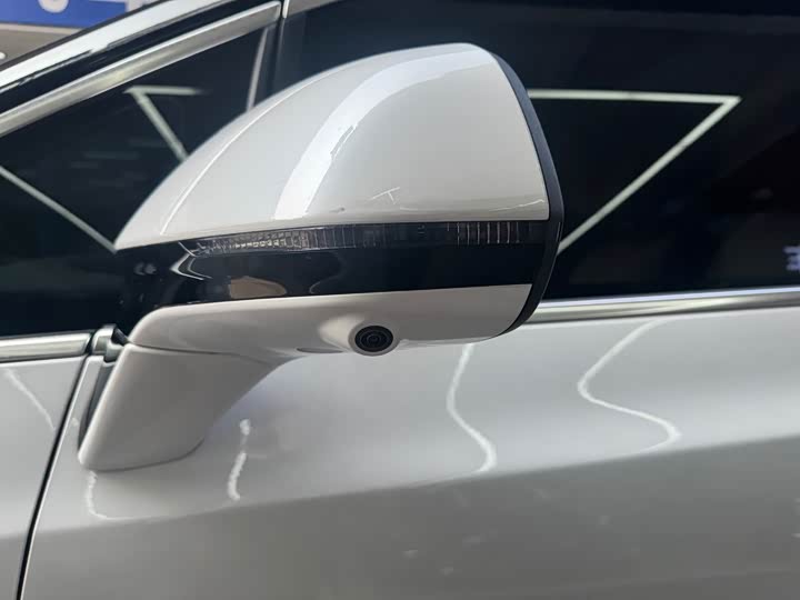 Фото 6 - Denza D9