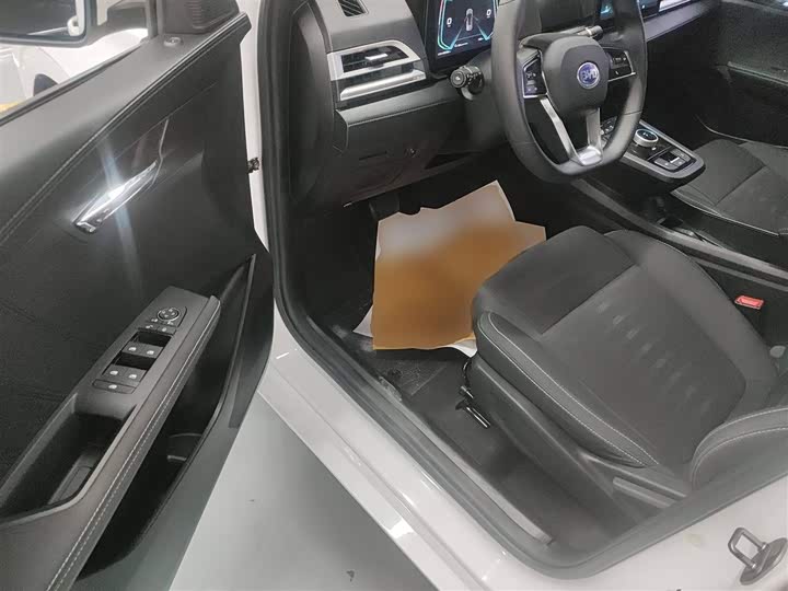 Фото 16 - BYD E2