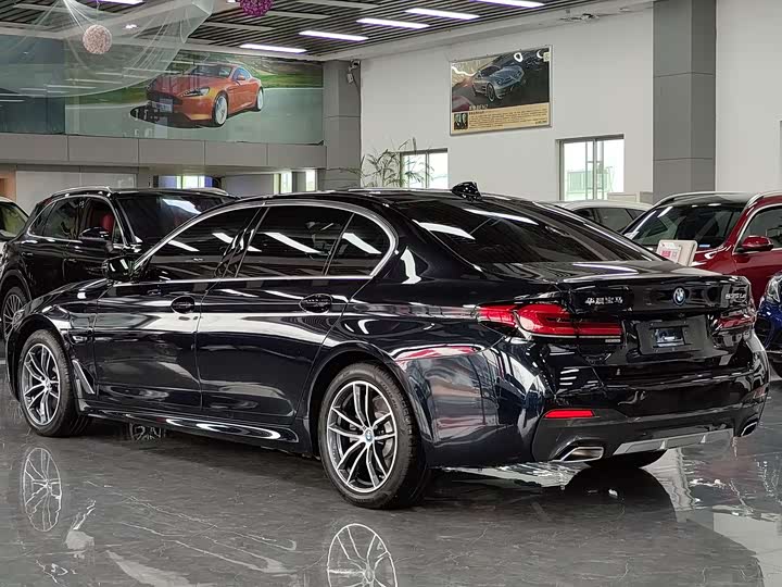 Фото 14 - BMW 5 Series Hybrid