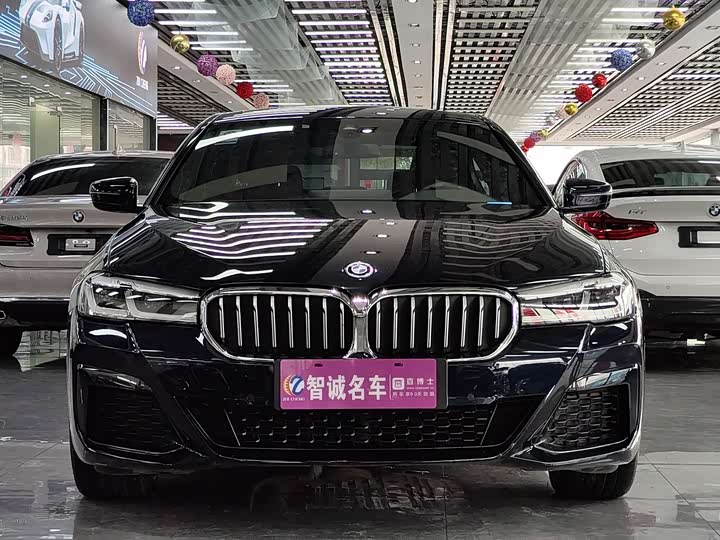 Фото 2 - BMW 5 Series Hybrid