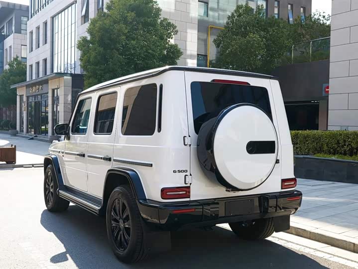 Фото 6 - Mercedes-Benz G-Class