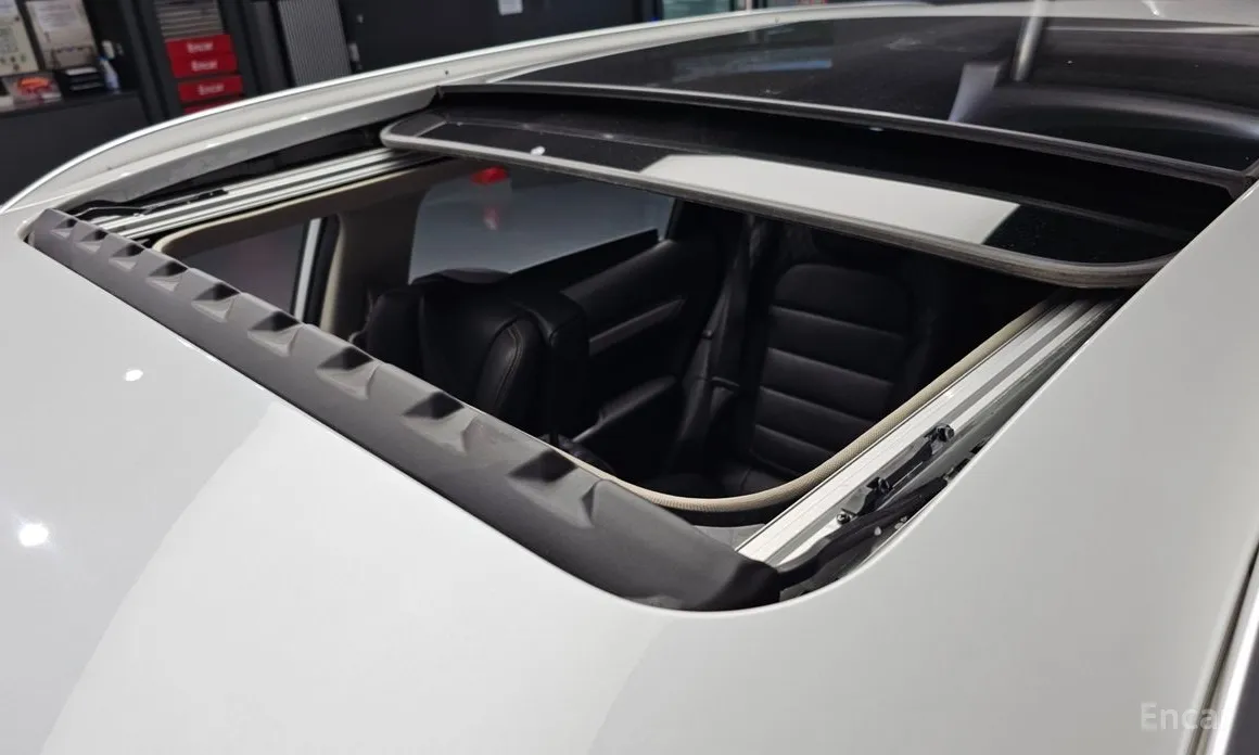 Фото 18 - Renault QM6