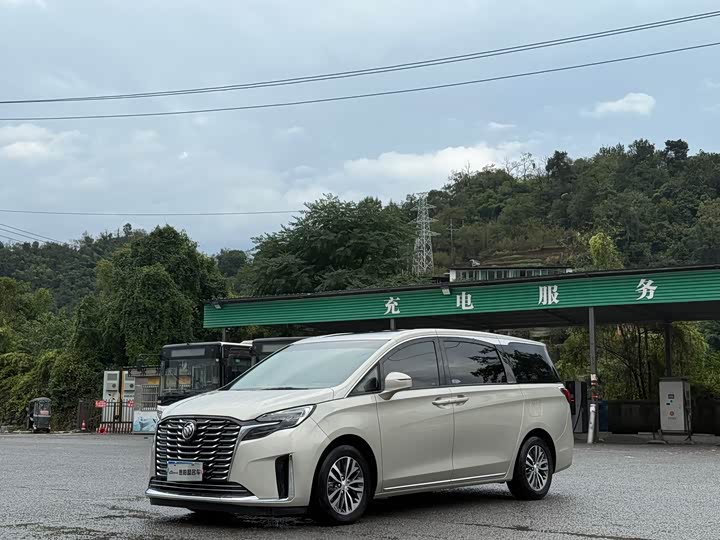 Фото 1 - Buick GL8 ES