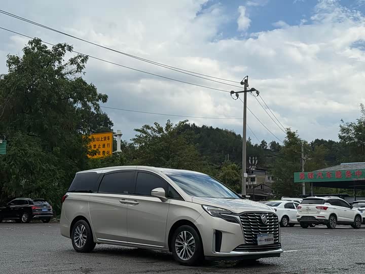 Фото 3 - Buick GL8 ES