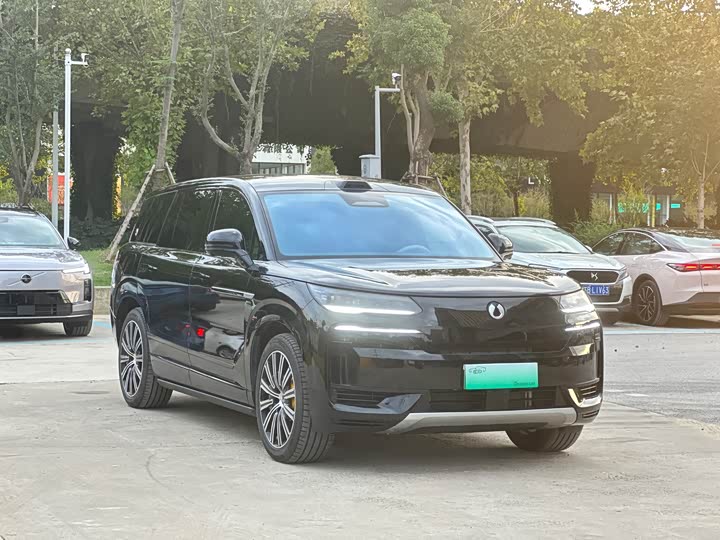 Фото 3 - Denza N9