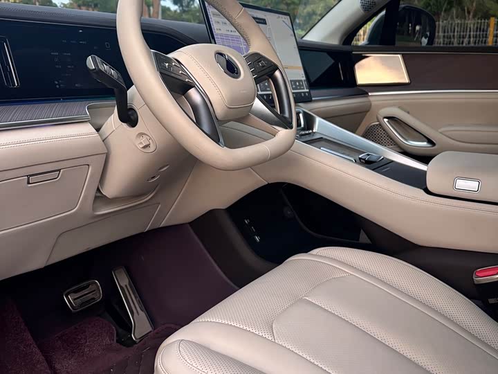 Фото 4 - Denza N9