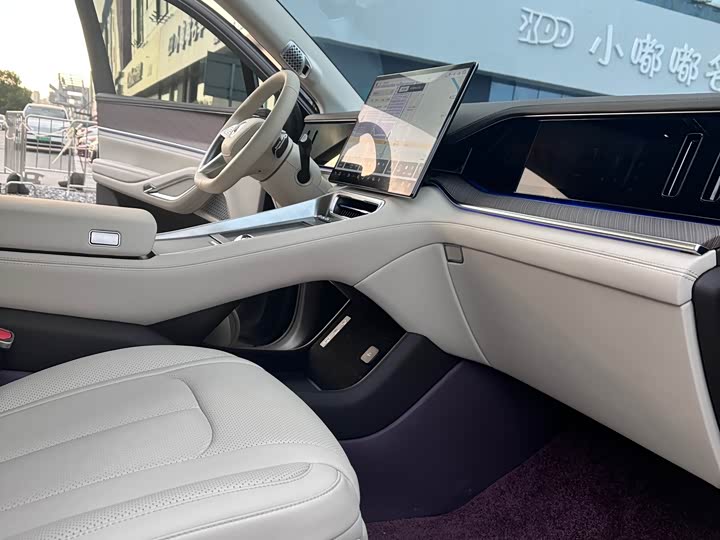 Фото 6 - Denza N9