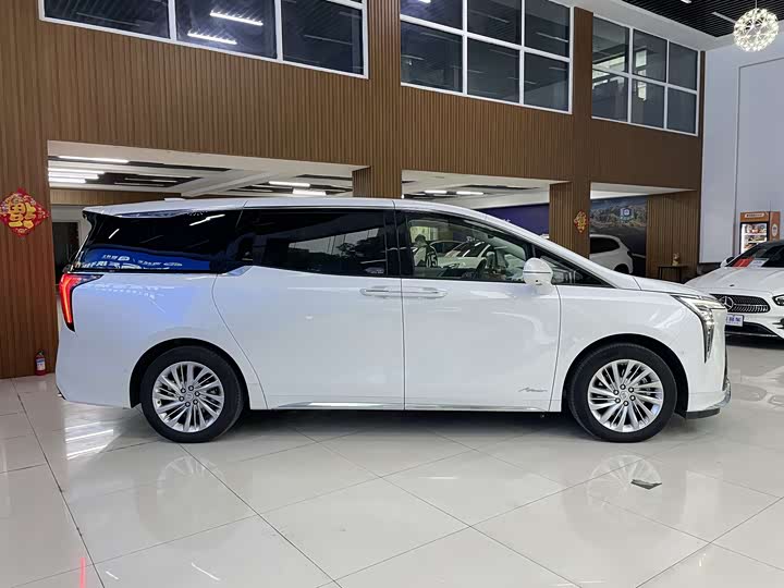 Фото 4 - Buick GL8 Century